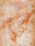 (image for) Michelangelo's Ideal Face